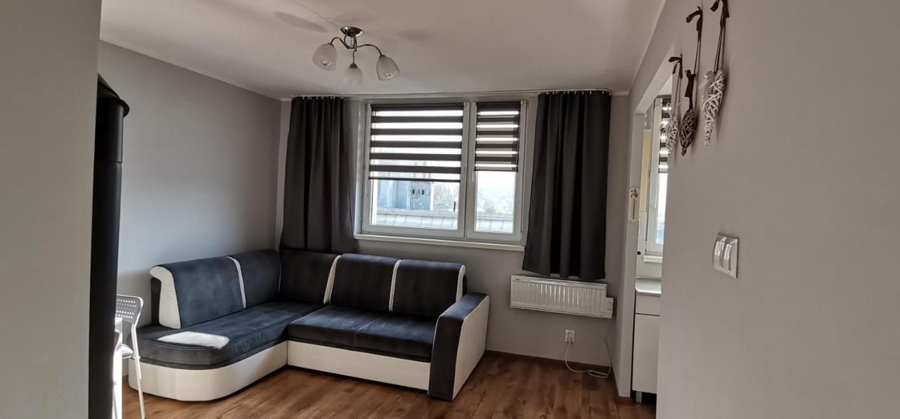 Апартаменты Apartament Przy Papierni Душники-Здруй Экстерьер фото